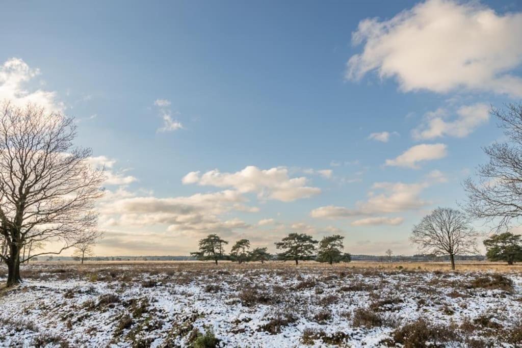 Leva - Logeren In Drenthe Villa Doldersum Ngoại thất bức ảnh