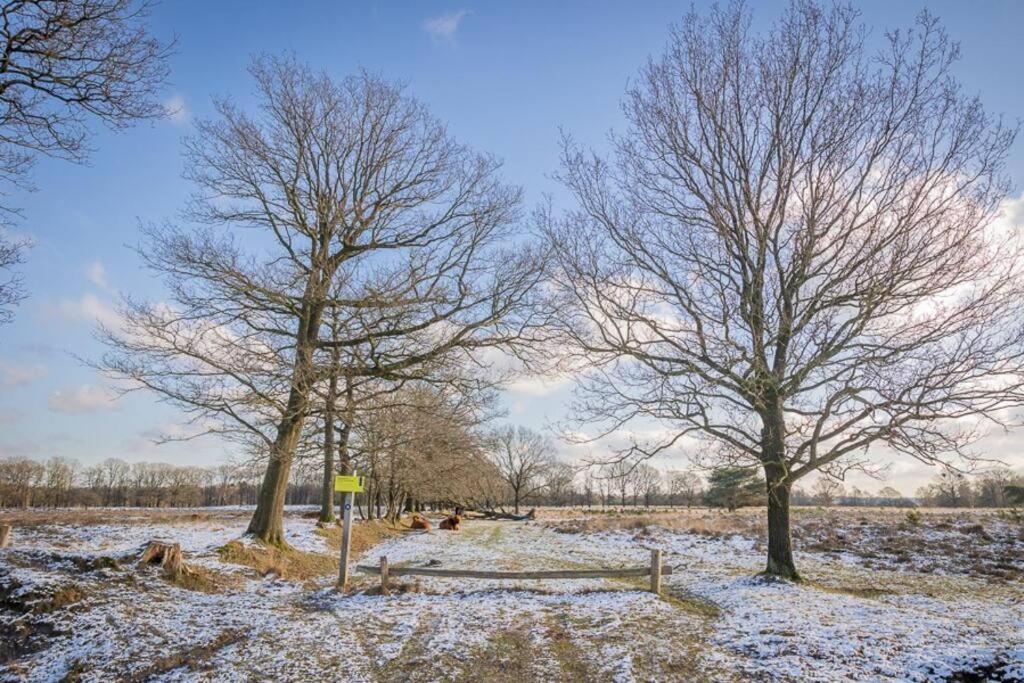 Leva - Logeren In Drenthe Villa Doldersum Ngoại thất bức ảnh