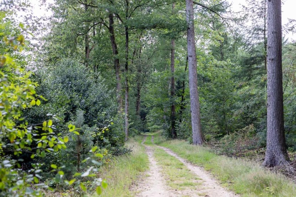 Leva - Logeren In Drenthe Villa Doldersum Ngoại thất bức ảnh