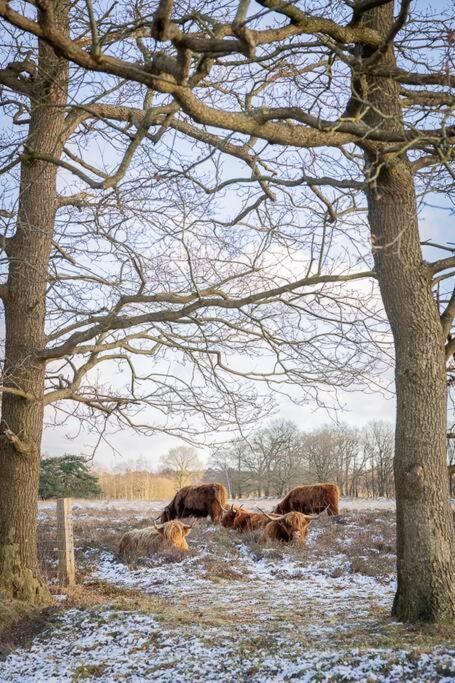Leva - Logeren In Drenthe Villa Doldersum Ngoại thất bức ảnh