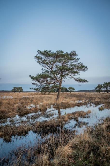 Leva - Logeren In Drenthe Villa Doldersum Ngoại thất bức ảnh