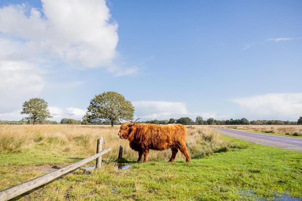 Leva - Logeren In Drenthe Villa Doldersum Ngoại thất bức ảnh